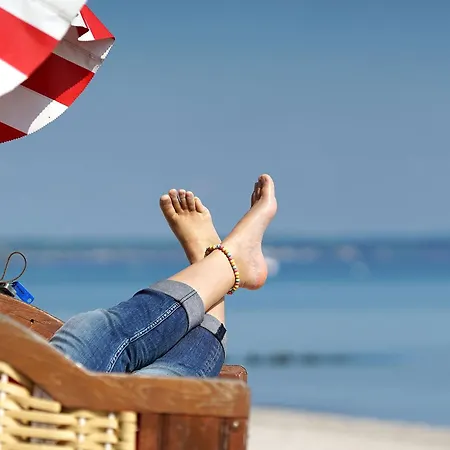 Sonnenblume In Der Seefahrtschule * فاستروم