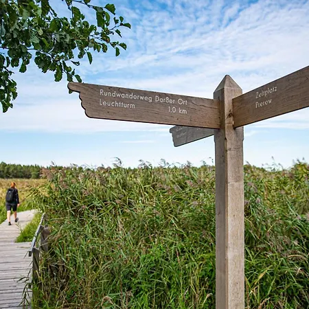 Sonnenblume In Der Seefahrtschule فاستروم