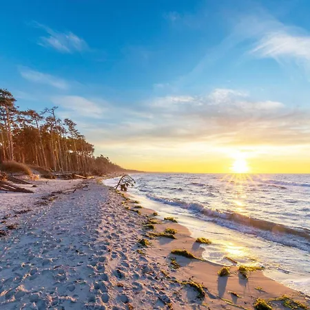 Sonnenblume In Der Seefahrtschule فاستروم