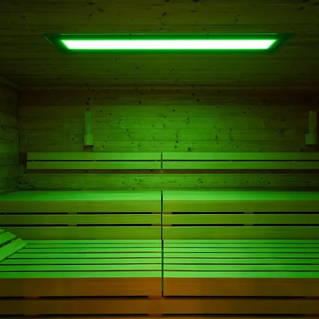 Sonnenblume In Der Seefahrtschule