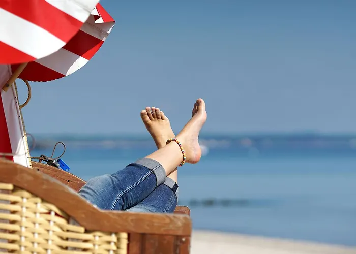 Sonnenblume In Der Seefahrtschule * Wustrow (Fischland)