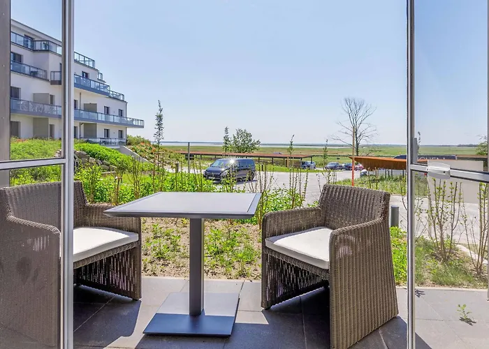 Sonnenblume In Der Seefahrtschule * Wustrow (Fischland)