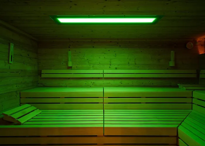 Sonnenblume In Der Seefahrtschule